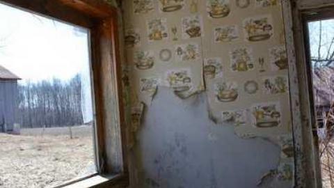 Huron Street Farmhouse - Holey-Plow!76.jpg