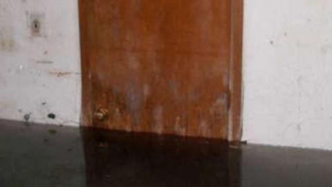 Mundane Mayhem - Mundane-Milton-Mayhem23.jpg