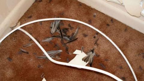 Mundane Mayhem - Mundane-Milton-Mayhem1.jpg