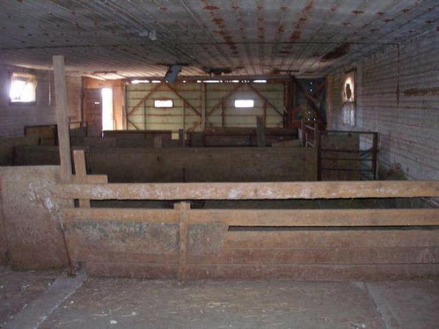 Mundane Milton Mayhem photo 2