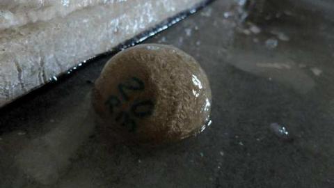 April2014 - Avon-Public-School185.jpg