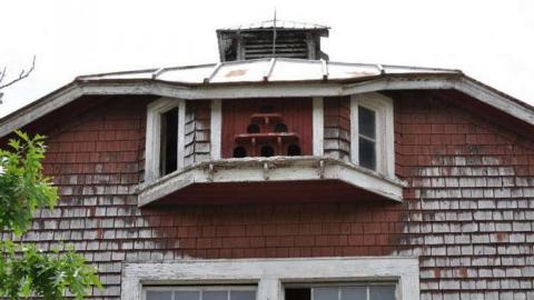 Mount Victoria photo 4