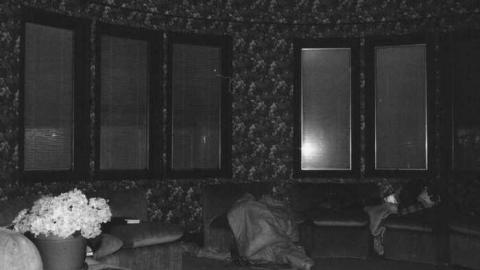 Black & White Film - Abandoned-Cat-Lady-House394.jpg