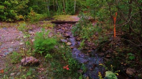 Gould Mine - Algoma, Unorganized, North Part, Ontario