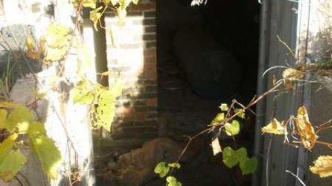 rebecca - Rebecca-Road201.jpg