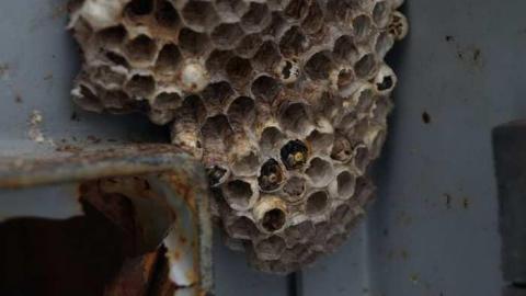 Knee Deep Snow - CFB-Edgar249.jpg