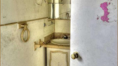 Trapped By The Fuzz photo 2