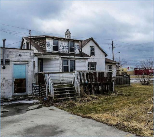 Trapped By The Fuzz photo 3