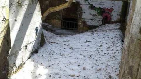 April 2014 - Erindale-Hydro-Tunnel35.jpg