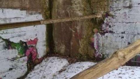 April 2014 - Erindale-Hydro-Tunnel32.jpg