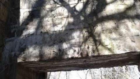 Photo from April 2014