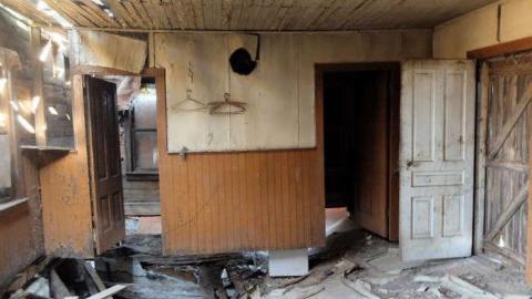 Redgreen Decay photo 2