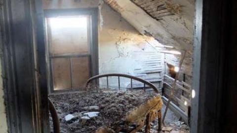 Redgreen Decay - Southwest Middlesex, Ontario