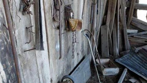 Redgreen Decay photo 4