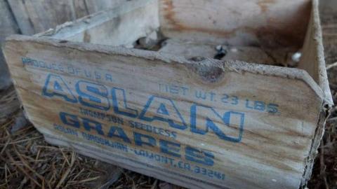 Redgreen Decay photo 5