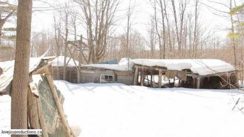 Photo from Quick Winter Visit