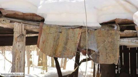 Photo from Quick Winter Visit