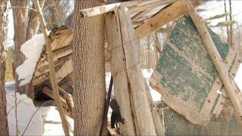 Photo from Quick Winter Visit