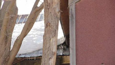 Photo from Quick Winter Visit