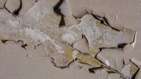 Musical Chairs - Maple Valley Stone II-2057.jpg