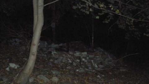 pool - Abandoned-Pool50.jpg