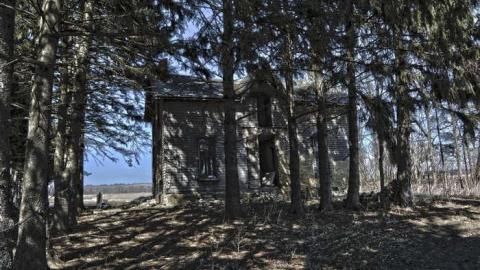 The Honey Hole photo 5