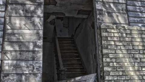 Getting Buzzed - DSC_0211.jpg