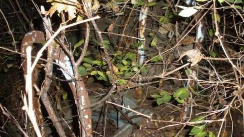 pool - Abandoned-Pool61.jpg