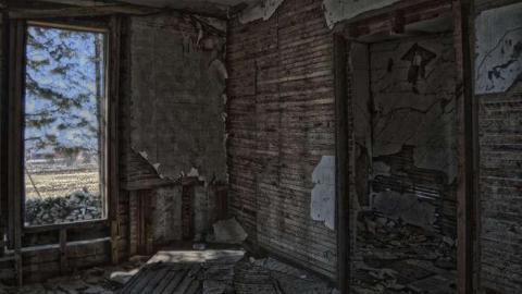 The Honey Hole photo 4