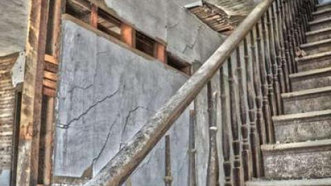 Getting Buzzed - DSC_0236.jpg