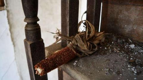 Getting Buzzed - DSC_0241.jpg