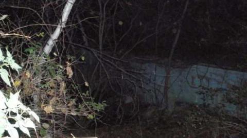 pool - Abandoned-Pool62.jpg