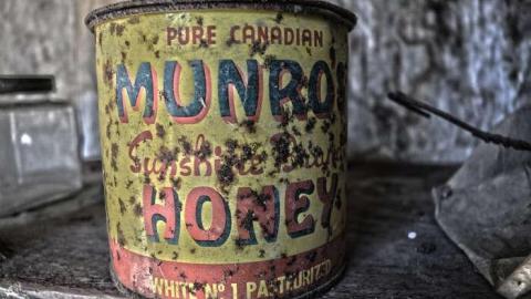 Getting Buzzed - DSC_0256.jpg