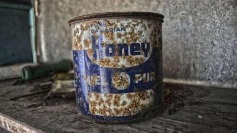 Getting Buzzed - DSC_0257.jpg