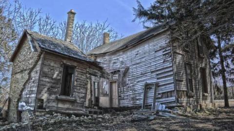 Getting Buzzed - DSC_0270.jpg