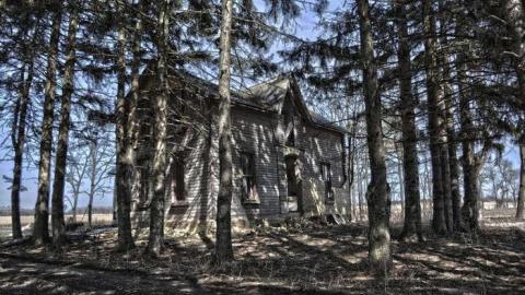 Getting Buzzed - DSC_0275.jpg