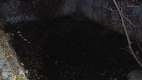 pool - Abandoned-Pool54.jpg