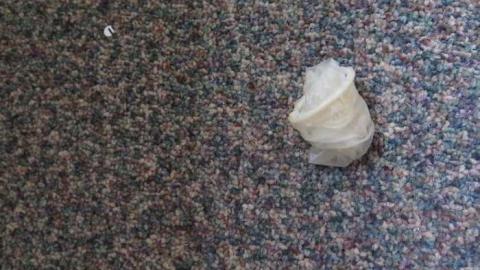 Decimals Have a Point - Avon-Public-School134.jpg