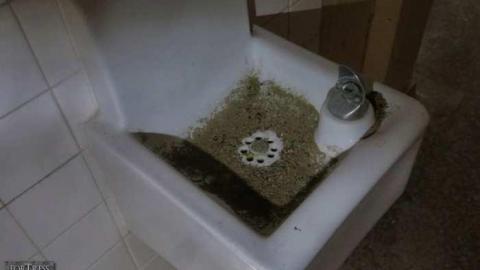 Decimals Have a Point - Avon-Public-School140.jpg