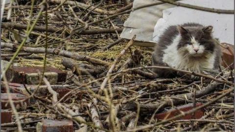 Erie & Park - 19.jpg