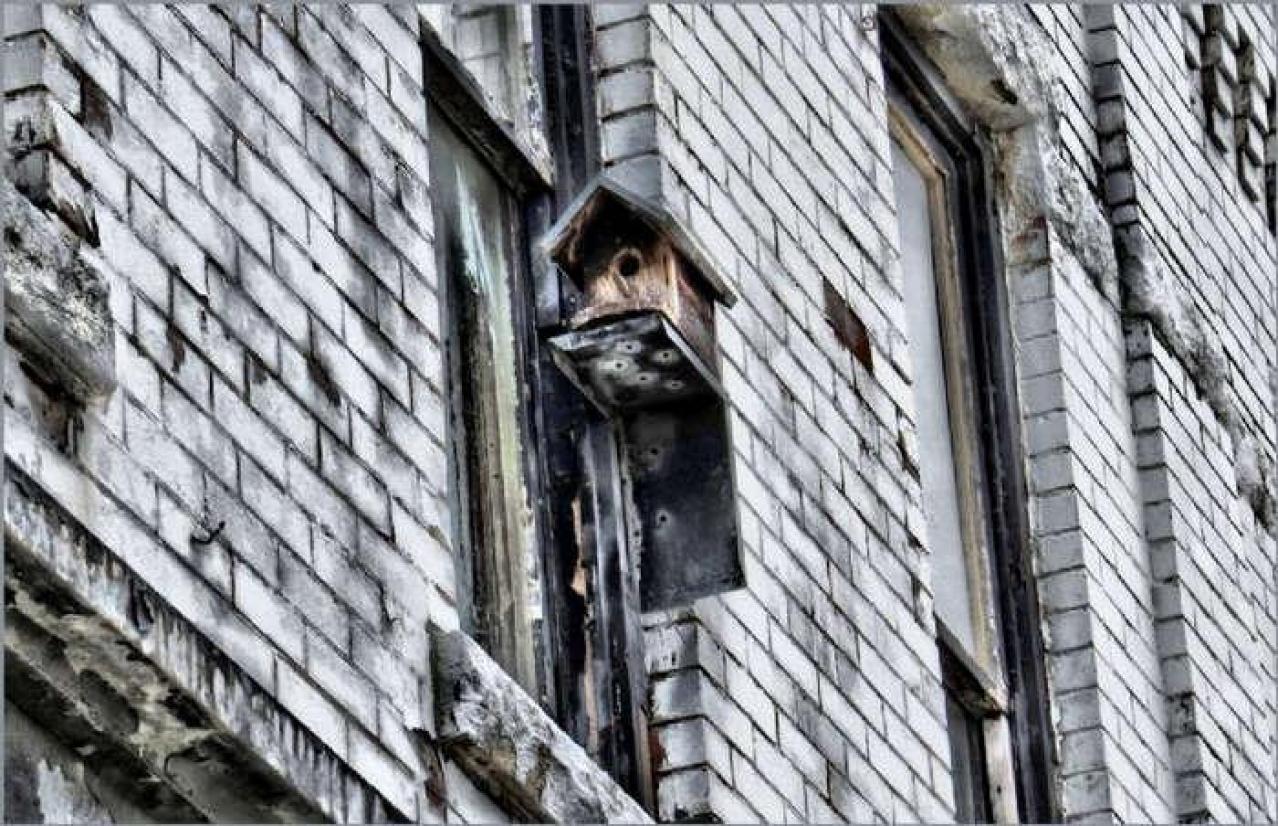 Erie & Park - 23.jpg