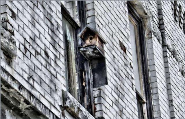 Niagara's Premier Deathtrap photo 2