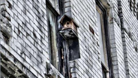 Niagara's Premier Deathtrap photo 2