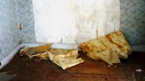 April 2014 - DSC08805.jpg