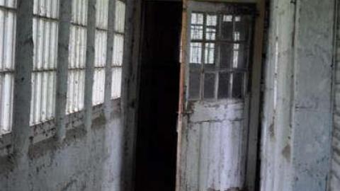 Mount Victoria photo 5