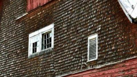 Mount Victoria - Mount-Victoria11.jpg