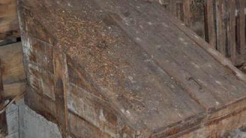 Mount Victoria - Mount-Victoria12.jpg