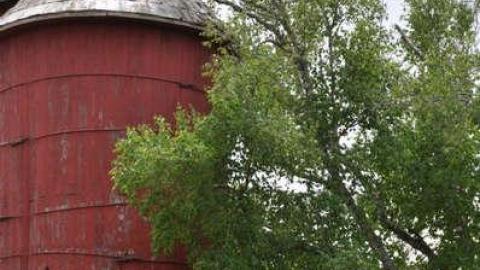 Mount Victoria photo 3