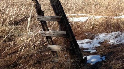 Forgot SD Card - Josephine-Ghost-Town47.jpg