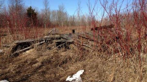 Photo from Forgot SD Card